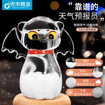 Douchi's selected weather forecast bottle, birthday gift, storm bottle for boyfriend and girlfriend, 520 valentine's day gift for students, personalized ornaments, flying kitten, transparent style