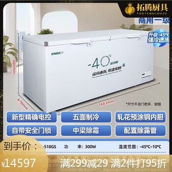 Iosn german imported quality high-end freezer commercial freezer large capacity refrigerated freezing horizontal single temperature refrigerator fresh-keeping freezer deep-freezing high-end model丨1.68 meters丨-45 to 518 upgrade