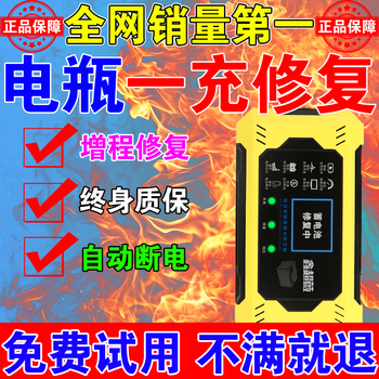 Bull 2025 new electric vehicle battery repairer genuine automatic power-off universal pulse charging battery life activation artifact