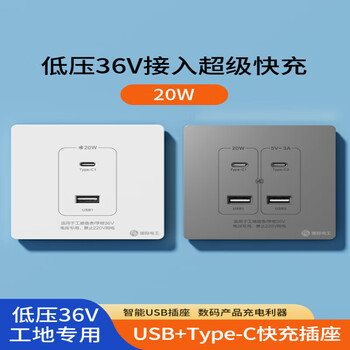 Type 86 usb fast charging pd socket panel 36v low voltage 220v to 5v construction site dormitory mobile phone charging socket white 20w two-position usb+type-c fast charging