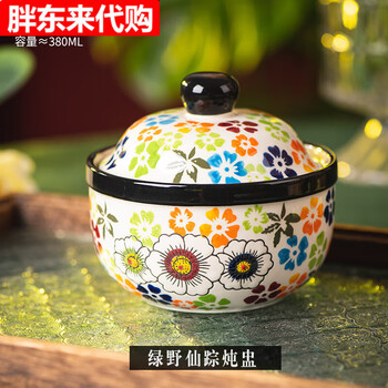 Ceramic small stew pot, household soup pot with lid, water-proof soup pot, steamed egg bowl, steamed egg custard, wizard of oz stew pot