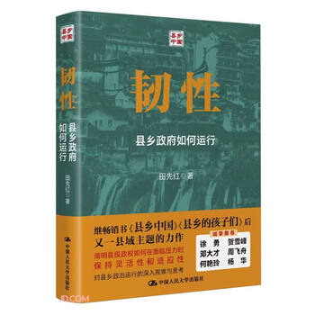 Resilience how county and township governments operate