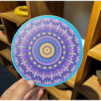 Stream drum, niche ethnic percussion instrument, nature stream foley, music therapy instrument, small and portable 15cm-galaxy conch on the back + purple flower on the front