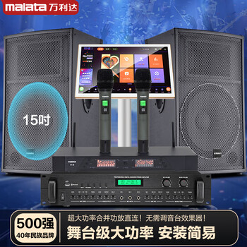 Wanlida outdoor audio set small and medium-sized performance stage wedding full-frequency high-power ktv bar speaker equipment 15-inch audio set + 1t karaoke machine
