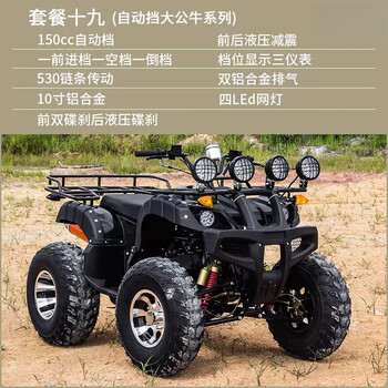 Septi atv four-wheel off-road motorcycle all-terrain fuel mountain adult four-wheel drive motorcycle two-person sand atv package 19 automatic version big bull