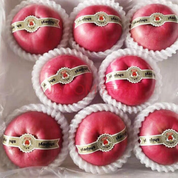 Zhenyi shu pingan fruit world no. 1 big apple big fruit shandong christmas fruit christmas eve exquisite gift box gift 8 white original net weight 8-9 jin single fruit 0.9 jin+
