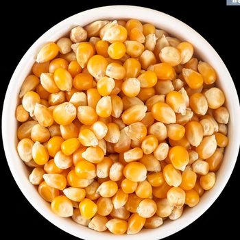 Popcorn machine accessories, safety and environmental protection, mineral oil pressure gauge, silicone pad, corn universe bag, saccharin wrench, corn*10kg