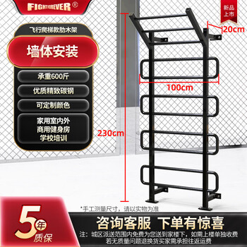 Faite indoor rib frame pull-up horizontal bar parallel bar climbing frame leg press balance training yoga dance studio fitness equipment flying ladder model
