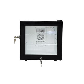 Kindergarten food sample cabinet, canteen kitchen special display cabinet, extra large lockable refrigerated guest room small refrigerator, 20-liter glass door with double locks