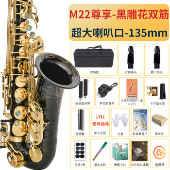 Angel of sound e-flat alto saxophone instrument wind pipe for adult beginners professional performance examination model recommended by big names m22 black carving-upgraded double ribs + double mouthpieces + teaching