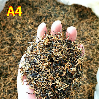 Wuyi village jinjunmei black tea honey fragrance wuyishan tongmuguan tea bulk wholesale 500g manufacturer jinjunmei bagged 4a grade 500g