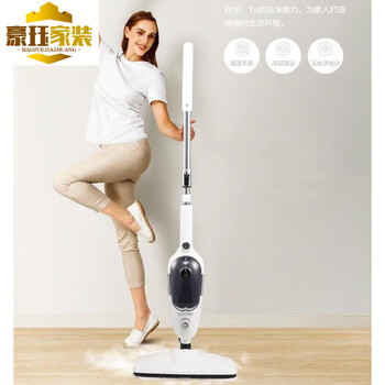 Pickup cat steam steam mop, efficient mite removal steam cleaner, high temperature steam mop, household multi-functional electric cleaning machine, small handheld mite removal, white upgraded mite removal steam adjustable luxury nine-piece set