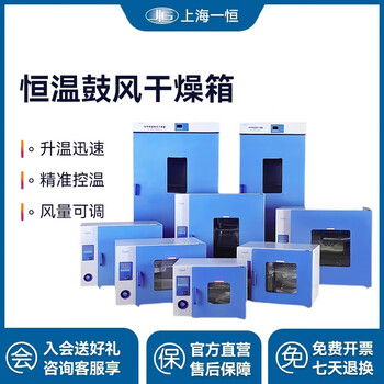 Yiheng blast drying oven laboratory digital display constant temperature electric oven industrial oven small drying oven dhg-9145a rt+10~300