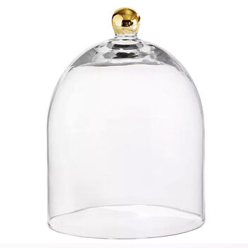 Santa barbara design studio glass dome food cover small