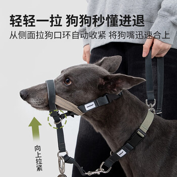 Hidream dog muzzle for large dogs golden retriever anti-bite and anti-yelling half p collar neck collar explosion-proof can be weared crossbody reflective dog leash buckwheat greyhound muzzle + half p collar + leash l recommended for dogs under 40kg