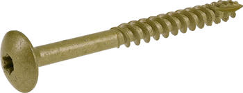Power propro 5/16 x 31/2 star drive construction rust resistant ceramic coated bronze 5