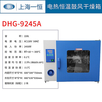 Yiheng shanghai bpg/dhg-9070a/9140a/9240a/9245a electric constant temperature blast drying oven dhg-9245a220l*300