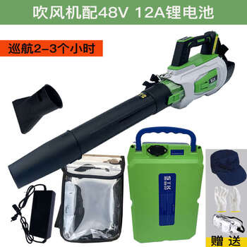 48v60v lithium hair dryer greenhouse snow blower wind fire extinguisher industrial blower blowing fallen leaves dust stone hair dryer with 48v12a lithium battery three