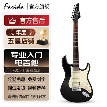 Farida electric guitar f5020 f2020 beginners entry-level single rocker single single double electric guitar 39-inch plantain gray f2020 plgy single single double