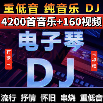 Electronic keyboard dj light music u disk heavy bass pure music accompaniment douyin car usb skewer classic solo 64g electronic keyboard music 4200 + video 160