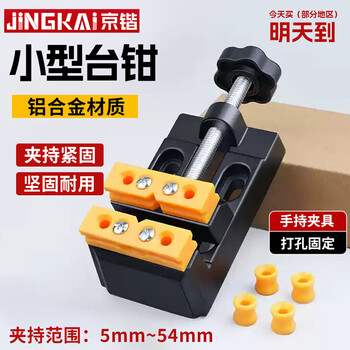 Jingkai mini small vise bench vise workbench multi-functional precision clamp micro table vise flat nose pliers