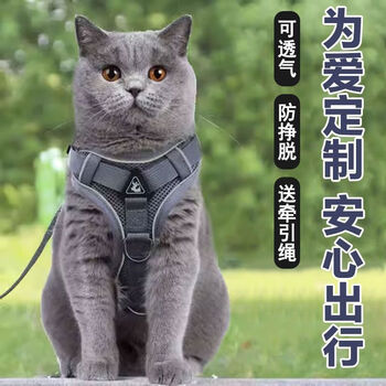 Jingyouyu german cat traction rope to prevent break-away when going out, special vest-style harness for ragdoll blue cat, adjustable cat rope, pink harness + traction rope s (3-6 pounds)