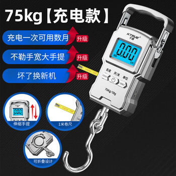 Qianque high-precision portable electronic scale small express scale portable home hook hook spring luggage fish scale silver charging model - with tape measure charging cable 75kg10g