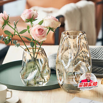 Fan ye's light luxury irregular vase high-end decoration living room flower arrangement glass transparent water rose flowers niche simple