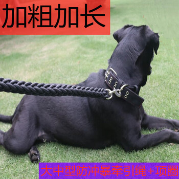 Rottweiler special collar, large dog leash, bulldog giant expensive dog chain, pit horse dog anti-bite dog walking black + collar 1.8 meters l large