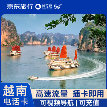 Vietnam phone card high-speed 4g mobile phone traffic internet card travel sim card 5gb per day for 10 days