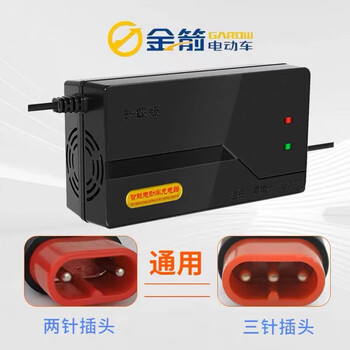 Golden arrow starlight electric vehicle battery charger 48v60v72v12ah20 security touch flat golden arrow_48v12ah_special plug