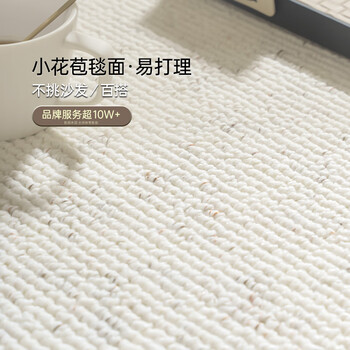 Cartifiya environmentally friendly antibacterial wool anti-slip carpet living room light luxury high-end minimalist sofa blanket zhijian 2*2.9 meters