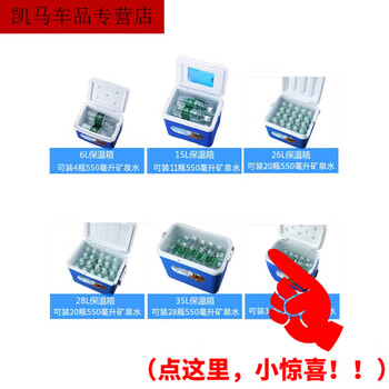 Insulated box cooler home car outdoor refrigerator takeaway portable cooler fishing size 6 liter blue 5 ice bags customer-specific quantity 10 pcs