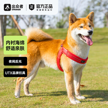 Spanker dog leash, dog harness, shiba inu harness, summer small and medium-sized corgi pastoral dog leash, dog leash, rose red, does not include dog leash, m size (20-30 pounds)