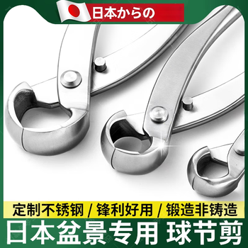 Hongzhijing selects japanese bonsai ball joint shears, ball shears, pruning shears, gardening tools, oblique fork branch shears, branch shears, leaf buds and tree tumor shears, chenggong medium stainless steel ball joint shears, card packaging