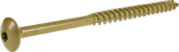 Powerpropro delay screw #5/16 x 6 star drive construction delay screw rust resistant