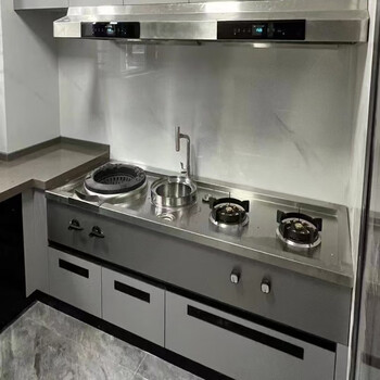 Wen yijia customized family banquet strong fire stove with fan villa club gas natural gas stir-frying stainless steel cabinet type stove special photo