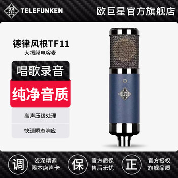 Telefunken tf11 47 51 29 tube condenser microphone rft series karaoke recording studio professional microphone telefunken tf11