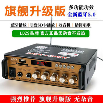 Ldzs new bluetooth power amplifier household high-power mini small power amplifier 220v12v car plug-in card fm radio power amplifier gold 198bt power amplifier (with bluetooth)