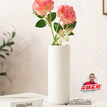 Mudingding ceramic art vase simple style creative living room white hydroponic flower vessel high-end birthday gift