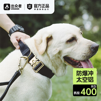 Outstanding dog collar large dog collar dog leash dog walking rope golden retriever husky alaskan dog rope collar blk black leash + collar adjustable, universal neck circumference 40-60cm