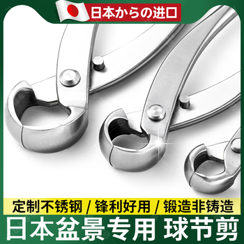 Meishute japanese bonsai ball joint shears ball shears pruning shears gardening tools oblique fork branch shears branch shears leaf bud tree tumor shears chenggong medium stainless steel ball joint shears insert card packaging