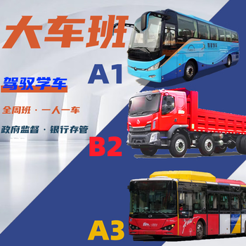 Driving learning/driving school/b2 large truck beginners/driving practice available all day and night/driving lessons/driving license test