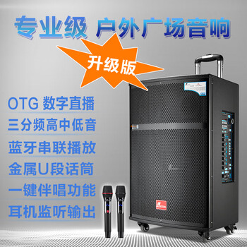 Danmark 810+, 812+, 815+ outdoor trolley speaker high power stage wireless bluetooth karaoke speaker home portable square dance speaker 815+ upgraded version official set + gift package