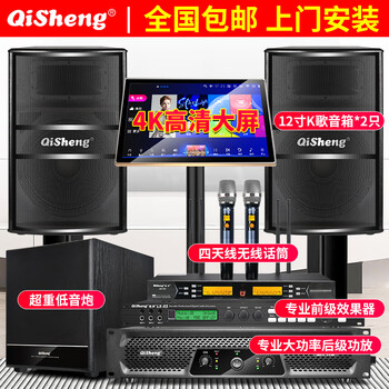 Qisheng family ktv audio set karaoke machine karaoke professional-grade cinema karaoke conference room stage equipment full set of tv living room bar party room subwoofer speaker 12-inch professional-grade audio set + subwoofer