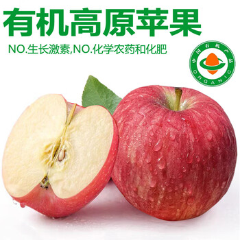 Zhu's orange organic plateau apple red fuji fresh fruit high-end seasonal apple whole box fresh gift box gift box 12 fruits for family taste, about 5 jin in box