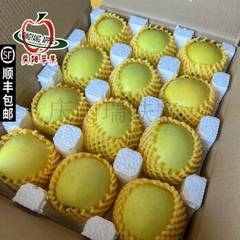 Authentic gansu qingyang apple 2025 ruixue base straight hair green apple pure sweet no acid juice very crisp 75mm (inclusive)-80mm (exclusive) 9 jin