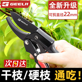 Geelii gardening scissors, fruit tree branch scissors, pruning scissors, flower pruning scissors, special pruning tool 75045