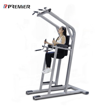 Premier american green gym commercial single and parallel bar trainer home indoor pull-up fitness equipment gl-sm812 pull-up trainer