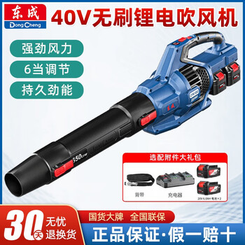 Dongcheng 40v brushless lithium hair dryer blower blower dcqf40171 high power rechargeable dust collector 40v brushless hair dryer bare metal no electricity no charge